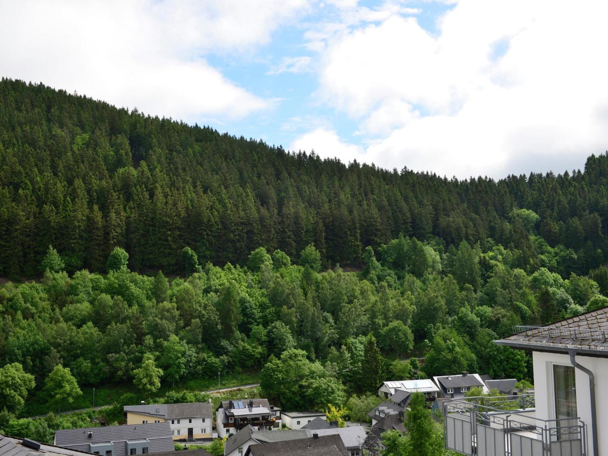 Holiday Home In The Centre Of Willingen With View Esterno foto